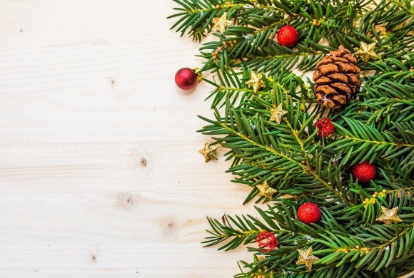 Natale. 5 consigli per rendere il vostro albero ancora più “green”!