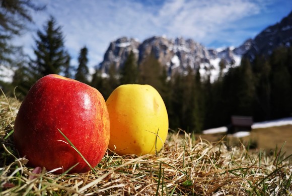 Montagne. Culle della biodiversità da proteggere